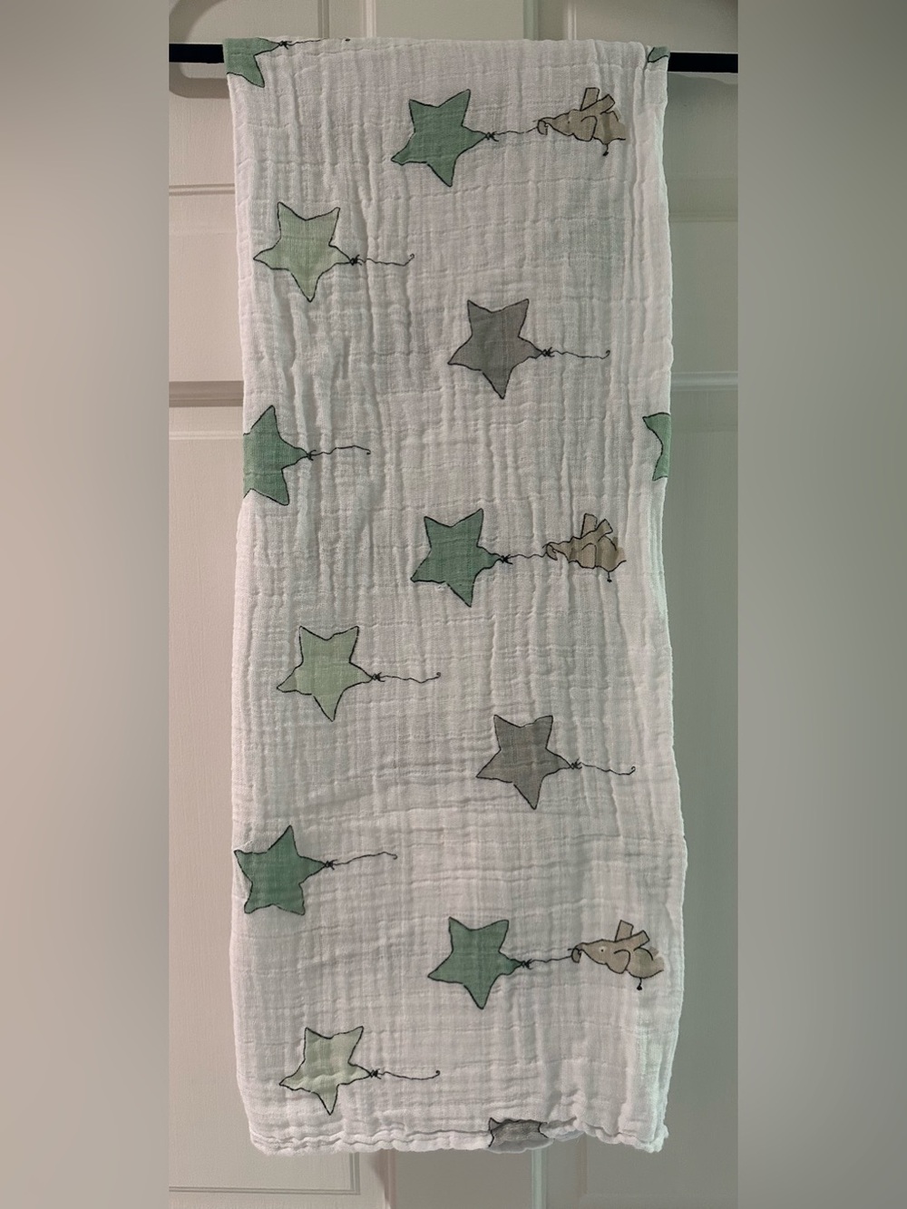Aden & Anáis Cotton Muslin Swaddle Blanket